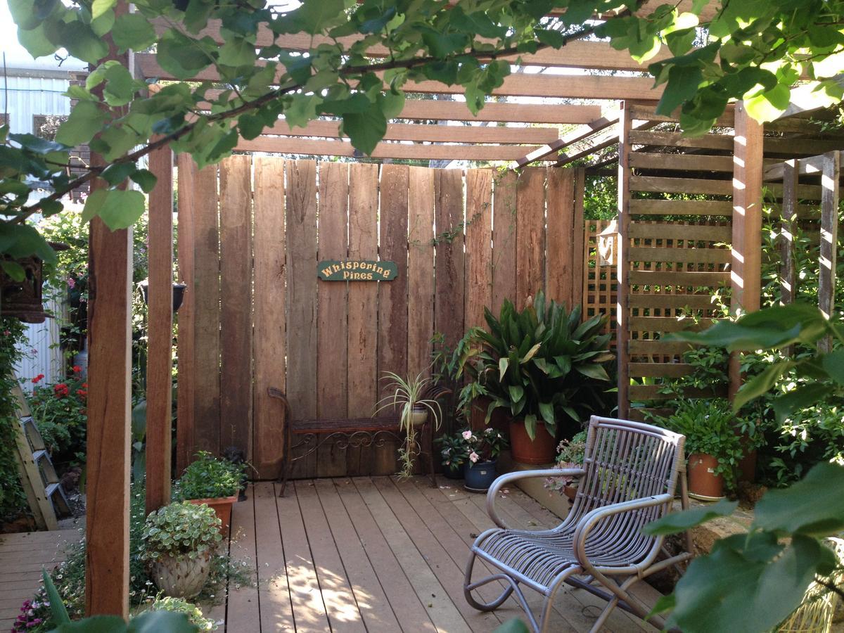 Whispering Pines Bed And Breakfast Collie Экстерьер фото