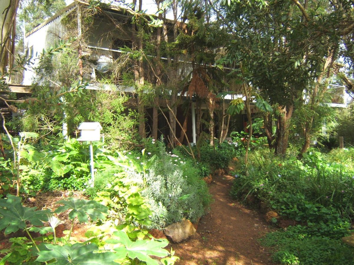 Whispering Pines Bed And Breakfast Collie Экстерьер фото